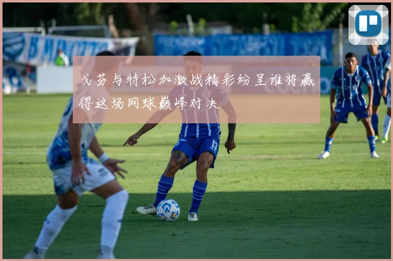 戈芬与特松加激战精彩纷呈谁将赢得这场网球巅峰对决