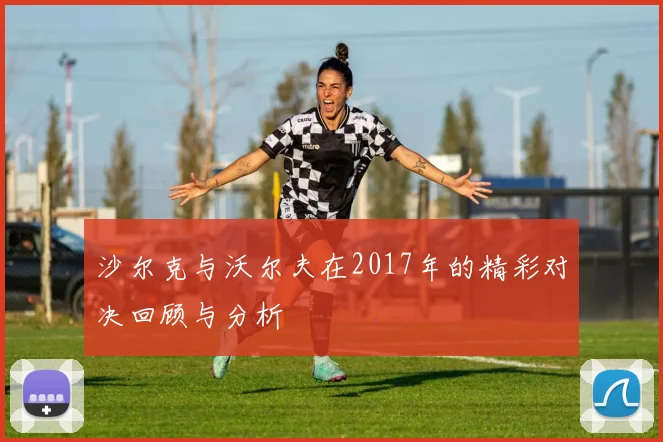 沙尔克与沃尔夫在2017年的精彩对决回顾与分析