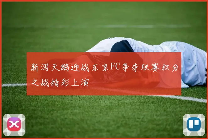 新泻天鹅迎战东京FC争夺联赛积分之战精彩上演